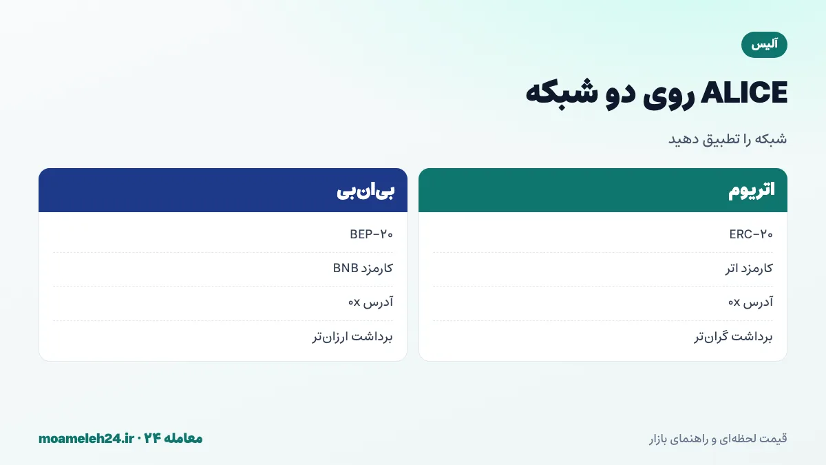 اینفوگرافیک شبکه های ALICE؛ ERC-20 روی اتریوم با کارمزد اتر، BEP-20 روی بی ان بی با کارمزد BNB، آدرس های 0x مشابه و پل رسمی بازی