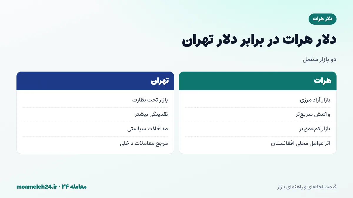 اینفوگرافیک مقایسه دلار هرات و دلار تهران؛ بازار تحت نظارت در برابر بازار آزاد مرزی، سرعت واکنش و شکاف قیمتی