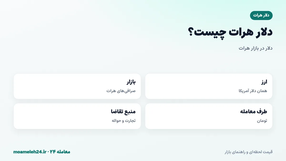 اینفوگرافیک دلار هرات چیست؛ دلار آمریکا در صرافی های هرات، معامله در برابر تومان، تجارت مرزی و حواله مهاجران